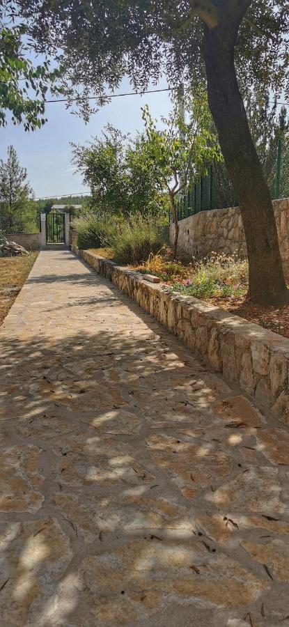Park Διαμέρισμα Pridraga Εξωτερικό φωτογραφία