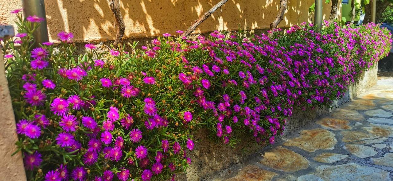 Park Διαμέρισμα Pridraga Εξωτερικό φωτογραφία