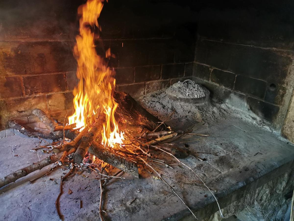 Park Διαμέρισμα Pridraga Εξωτερικό φωτογραφία